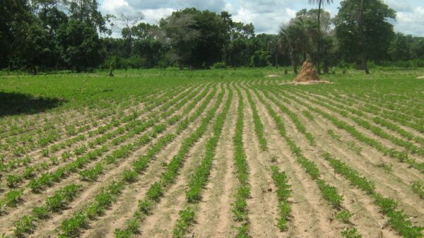 Le Sénégal lance un programme de 161 millions d’€ pour désenclaver les zones agricoles et minières au nord du pays - investactu.com