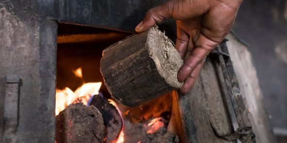 Vente de charbon de bois: Un business lucratif en décadence - investactu.com
