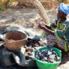 Valorisation de l’exploitation de l’huître au Sénégal : Les acteurs à la recherche de solutions - investactu.com