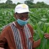Campagne Agricole : La Hausse Du Budget Permettra D’acheter Plus D’engrais, Selon Moussa Baldé - investactu.com