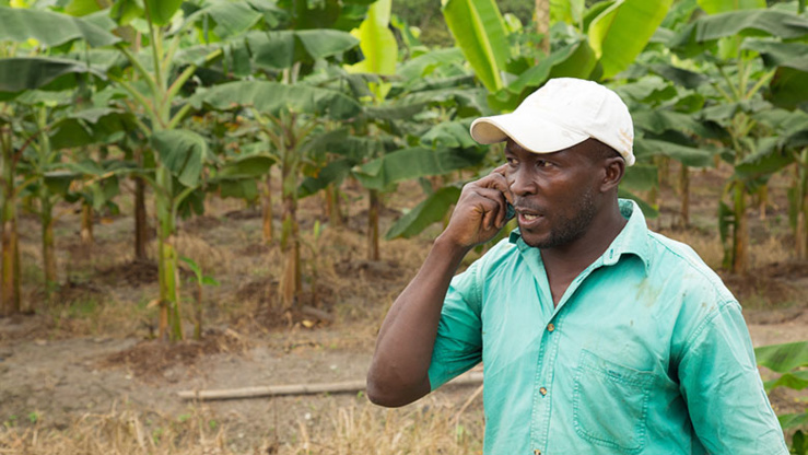 révolution numérique de l’agriculture africaine: un rapport de l’onu met en évidence les principaux obstacles et possibilités - investactu.com