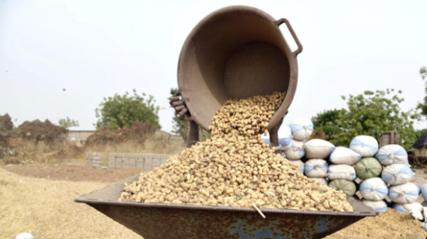 Refinancement partiel de la campagne arachidière : La Boad accorde une ligne de financement de 10 milliards de FCFA à la Bnde - investactu.com