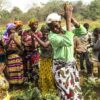 Sénégal : La Fao présente les résultats à mi-parcours de son Cpp - investactu.com