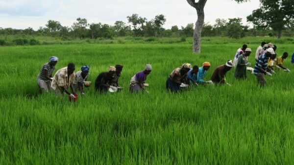 Nouveaux accords de financement : Le Fida accompagne le Sénégal pour aider les populations rurales - investactu.com