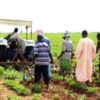 Connectivité des zones agricoles : Macky Sall annonce le lancement prochain d’un programme de 130 milliards - investactu.com