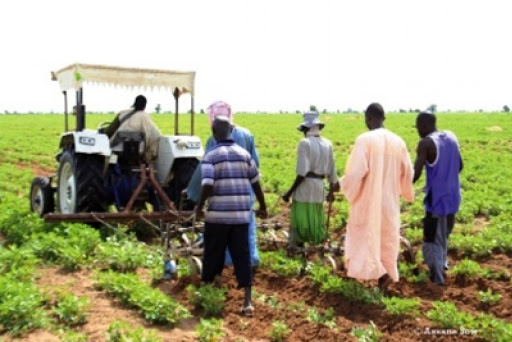 Connectivité des zones agricoles : Macky Sall annonce le lancement prochain d’un programme de 130 milliards - investactu.com