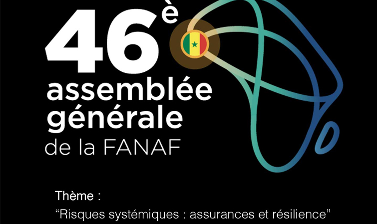Ouverture de la 46e assemblée générale de la Fanaf: Souleymane Niane rassure sur l’engagement des assureurs à contribuer au développement de l’Afrique   - investactu.com