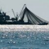 Le Liberia signe un accord avec le Sénégal pour réaliser une évaluation de ses ressources halieutiques - investactu.com